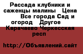 Рассада клубники и саженцы малины › Цена ­ 10 - Все города Сад и огород » Другое   . Карачаево-Черкесская респ.